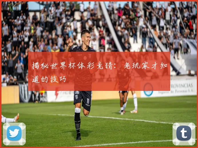 揭秘世界杯体彩竞猜：老玩家才知道的技巧