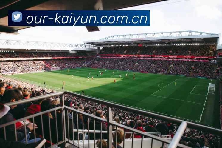 开云kaiyun全站App